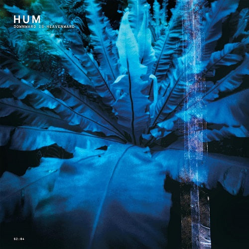 Hum Downward Is Heavenward New CD