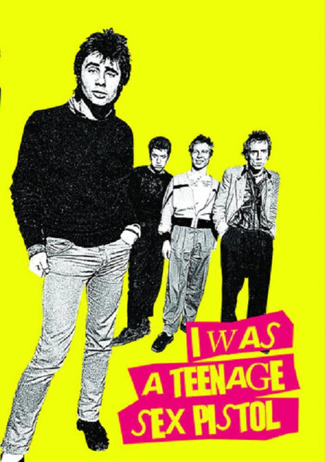 I Was A Teenage Sex Pistol (Sid Vicious Glen Matlock) New DVD Presale
