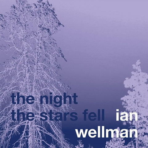 Ian Wellman The Night the Stars Fell New CD