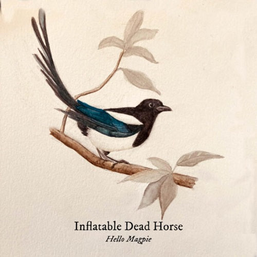 Inflatable Dead Horse Hello Magpie New CD Presale