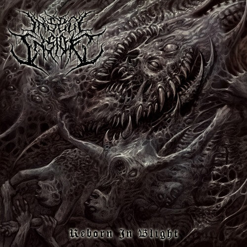 Insect Inside Reborn In Blight New CD Presale