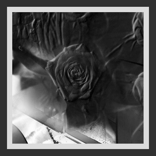 ITAL TEK Mind Abandon New CD Presale