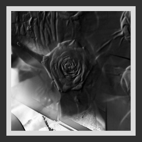 ITAL TEK Mind Abandon New CD Presale