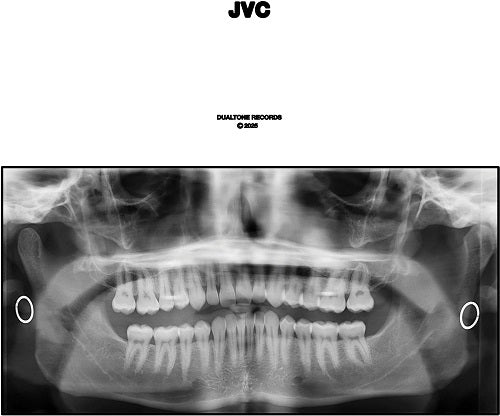 Jack Van Cleaf JVC New CD Presale