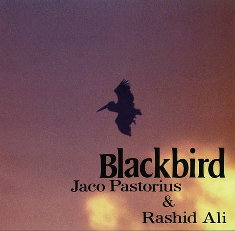 JACO PASTORIUS RASHIED ALI Blackbirds New CD
