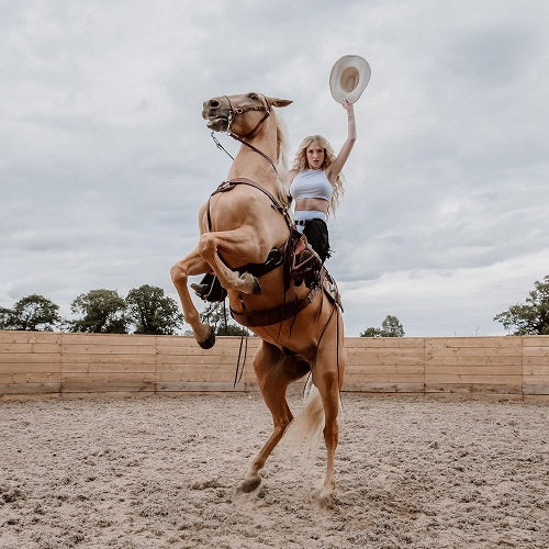 Janet Devlin Emotional Rodeo New CD