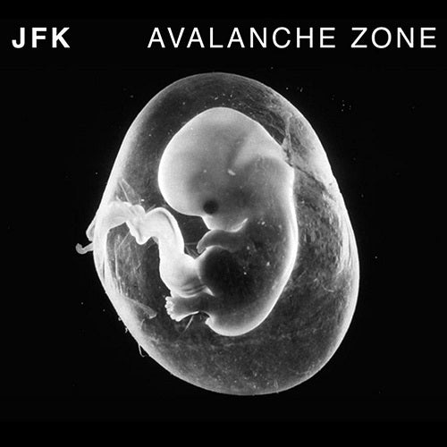 JFK Avalanche Zone New CD