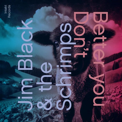 Jim Black & The Schrimps Better You Dont And New CD Presale