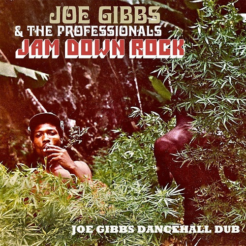 Joe Gibbs and The Professionals Jam Down Rock & New CD Presale