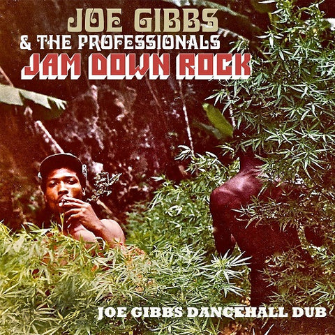 Joe Gibbs and The Professionals Jam Down Rock & New CD Presale