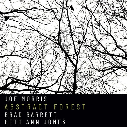 Joe Morris Abstract Forest New CD Presale