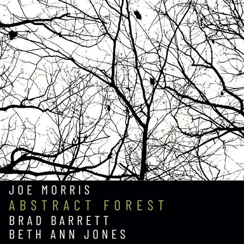 Joe Morris Abstract Forest New CD Presale