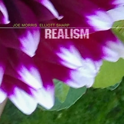 JOE MORRIS ELLIOTT SHARP Realism New CD Presale