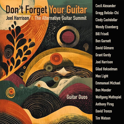 Joel Harrison Dont Forget Your Guitar New CD Presale