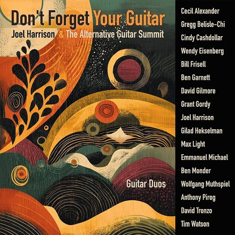Joel Harrison Dont Forget Your Guitar New CD Presale