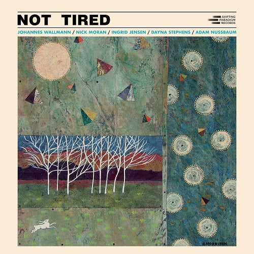 Johannes Wallmann Not Tired New CD