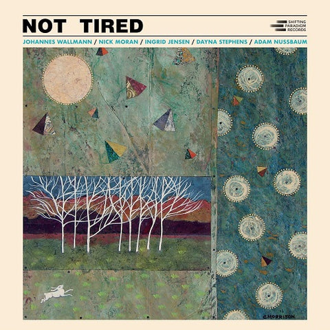 Johannes Wallmann Not Tired New CD