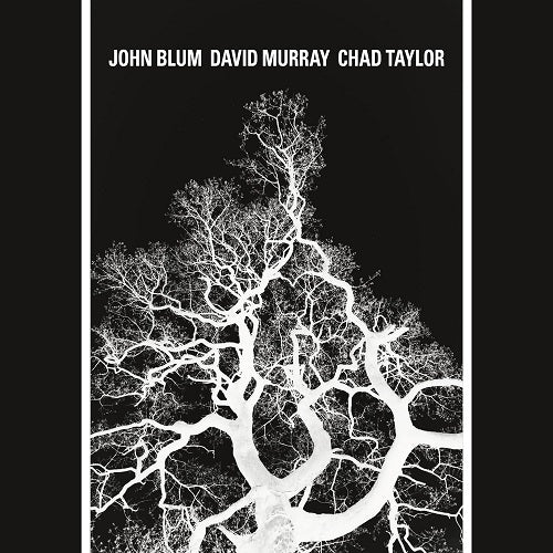 John Blum The Recursive Tree New CD