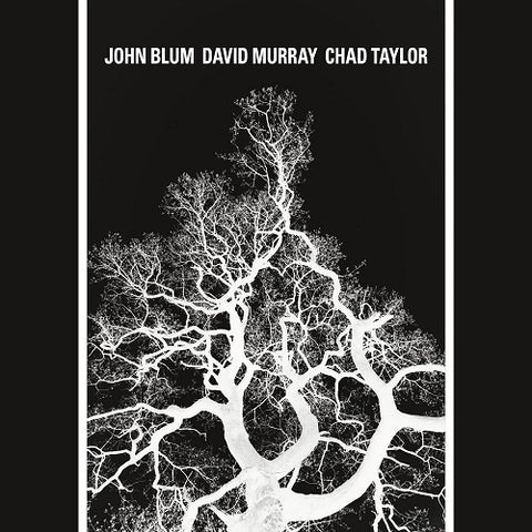 John Blum The Recursive Tree New CD