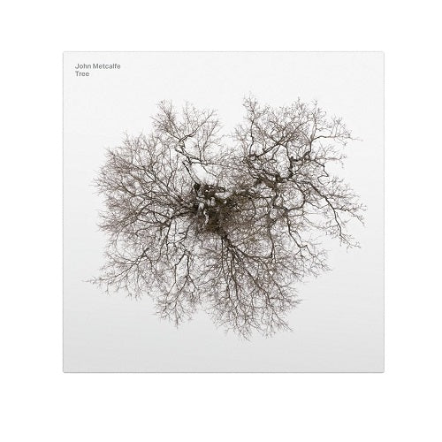 John Metcalfe Tree New CD