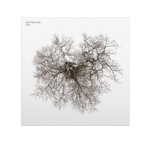 John Metcalfe Tree New CD