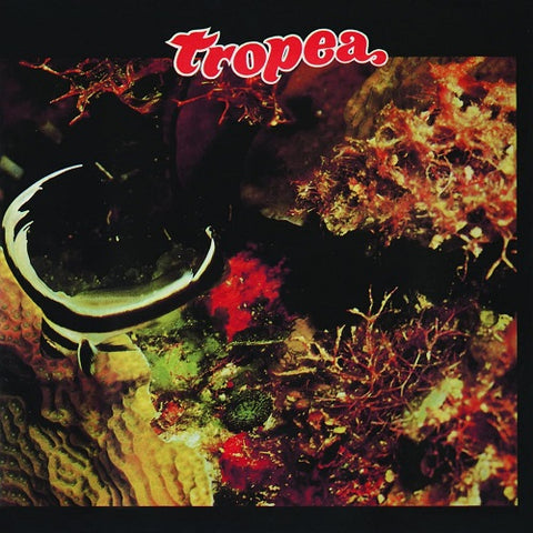 John Tropea Tropay New CD