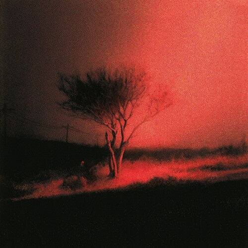 Joji Piss in the Wind New CD Presale