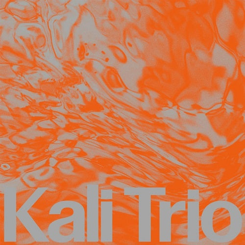 KALI Trio The Playful Abstract New CD Presale