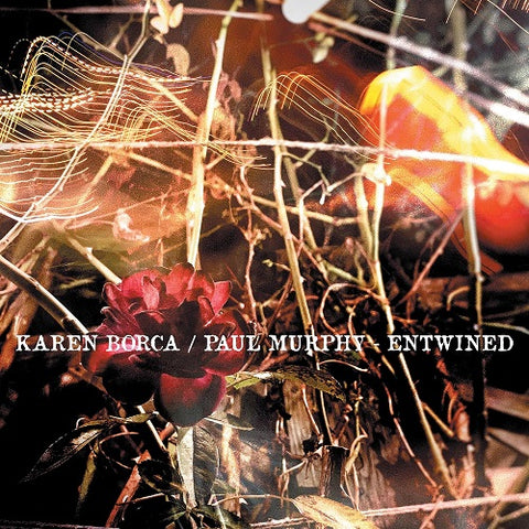Karen Borca Entwined New CD