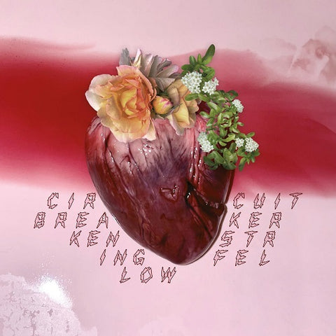 Ken Stringfellow Circuit Breaker New CD