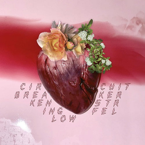 Ken Stringfellow Circuit Breaker New CD