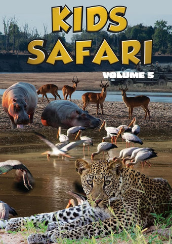 Kids Safari Volume 5 (Luca Lamberti Melua Lamberti) Vol Five New DVD