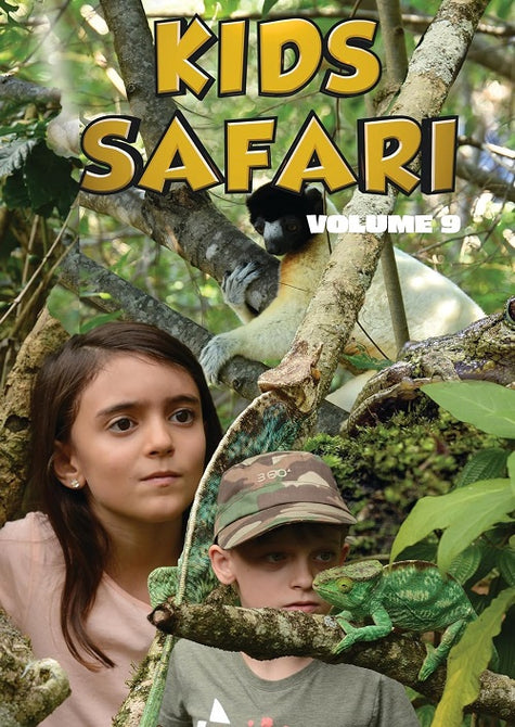 Kids Safari Volume Nine (Luca Lamberti Melua Lamberti) Vol 9 New DVD