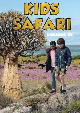 Kids Safari Volume Thirteen (Luca Lamberti Melua Lamberti) Vol 13 New DVD
