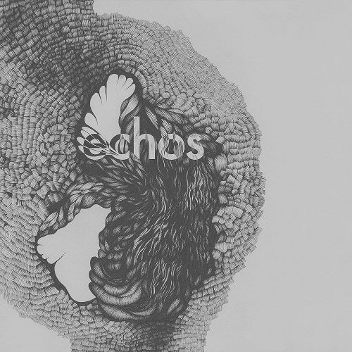 Late Night Alumni Echos New CD