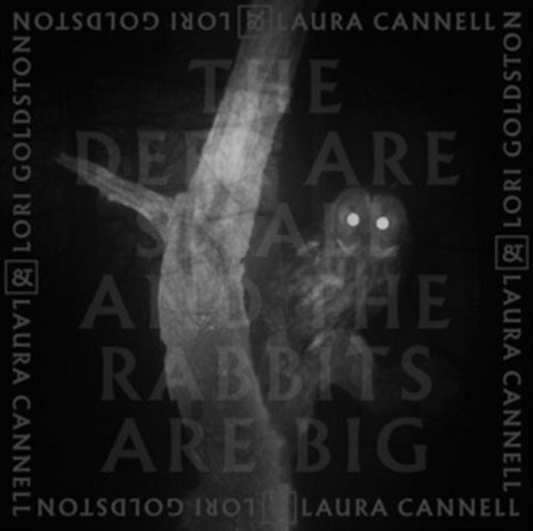 LAURA CANNELL & LORI GOLDSTON The Deer Are Small And The Rabbits Are Big New CD