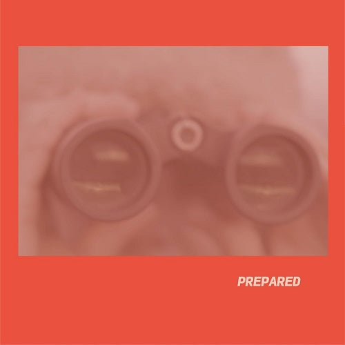 Laura J Martin Prepared New CD