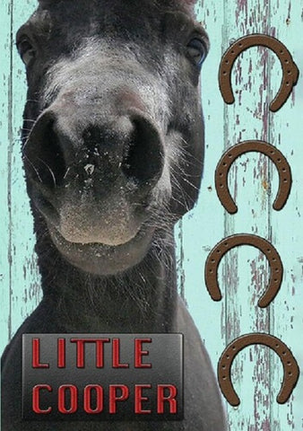 Little Cooper (Peri Susanne Jackson Fleming Moore Deak J. Smalls) New DVD