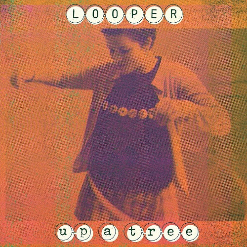Looper Up a Tree 2 Disc New CD