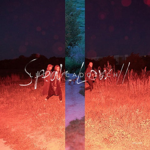 LUCIA CADOTSCH Speak Low 2 Two New CD Presale