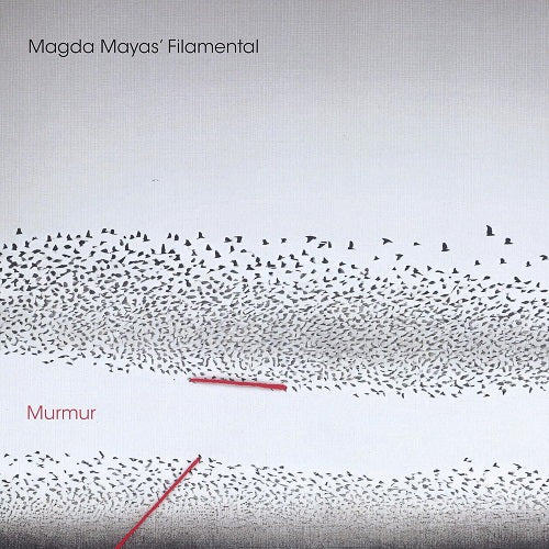 Magda Mayas Filamental Murmur New CD