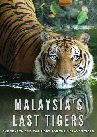 Malaysia's Last Tigers (Kuti Raja Biazid) Malaysias New DVD