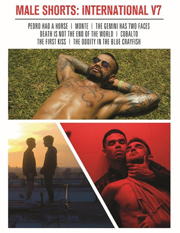 Male Shorts International V7 New DVD Presale