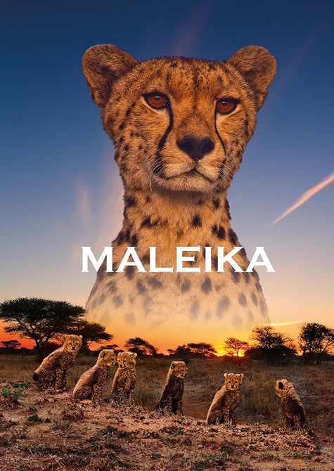 Maleika (Anne Alexander-Sieder Dieter Moor Moritz Brendel) New DVD Presale