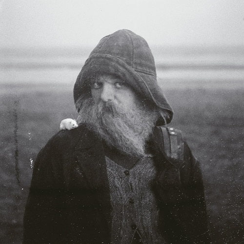 Mary In The Junkyard Role Model Hermit New CD Presale