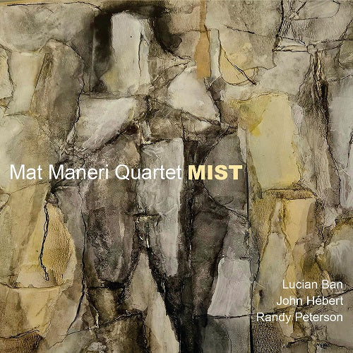 Mat Maneri Mist New CD Presale
