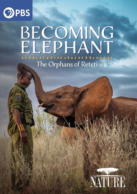 Nature Becoming Elephant The Orphans Of Reteti (Nyambi Nyambi) New DVD Presale