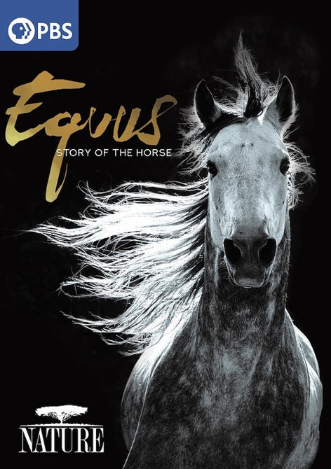 Nature Equus Story Of The Horse New DVD Presale