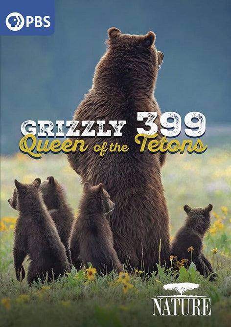 Nature Grizzly 399 Queen of the Tetons New DVD Presale