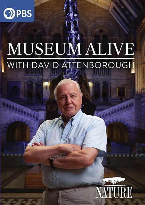 Nature Museum Alive With David Attenborough New DVD Presale